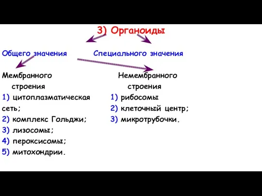 3) Органоиды Общего значения Специального значения Мембранного Немембранного строения строения 1) цитоплазматическая