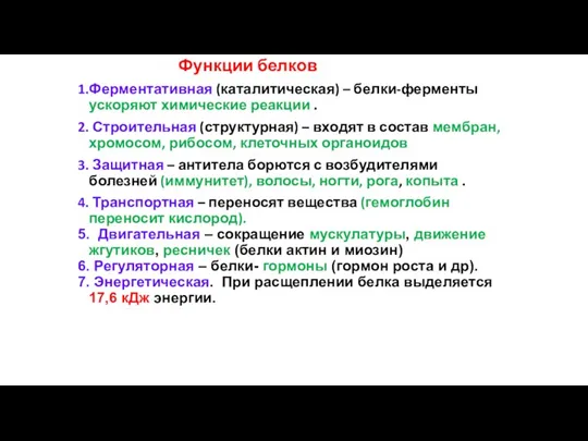 Функции белков 1.Ферментативная (каталитическая) – белки-ферменты ускоряют химические реакции . 2. Строительная