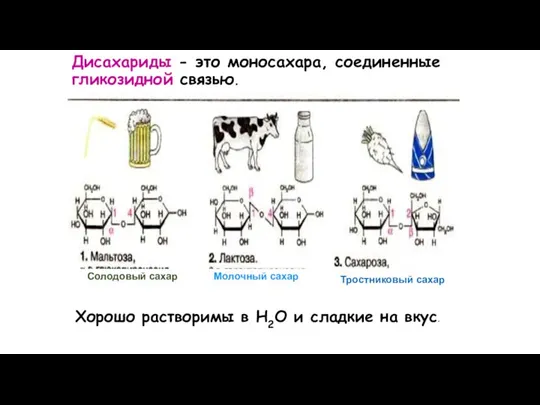 Дисахариды - это моносахара, соединенные гликозидной связью. Солодовый сахар Молочный сахар Тростниковый