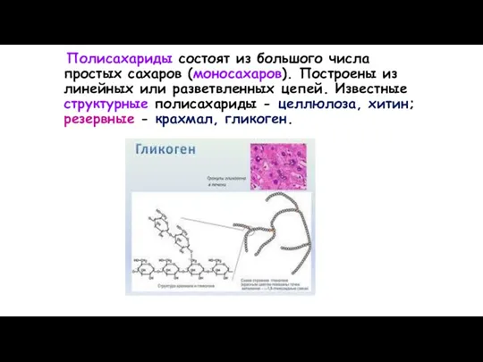 Полисахариды состоят из большого числа простых сахаров (моносахаров). Построены из линейных или