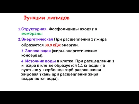 Функции липидов Структурная. Фосфолипиды входят в мембраны Энергетическая При расщеплении 1 г