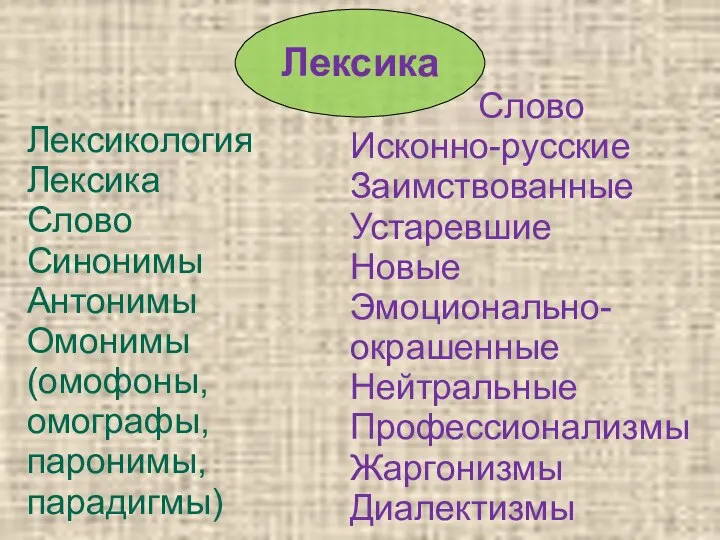 Лексика Лексикология Лексика Слово Синонимы Антонимы Омонимы(омофоны, омографы, паронимы,парадигмы) Слово Исконно-русские Заимствованные