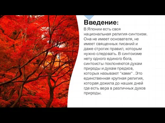 Введение: В Японии есть своя национальная религия-синтоизм. Она не имеет основателя, не