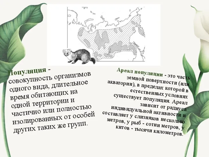 Популяция - совокупность организмов одного вида, длительное время обитающих на одной территории