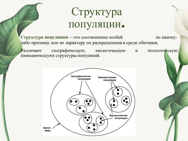 Структура популяции. Структура популяции —это соотношение особей по какому-либо признаку или по