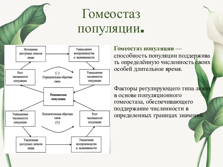 Гомеостаз популяции. Гомеостаз популяции — способность популяции поддерживать определённую численность своих особей