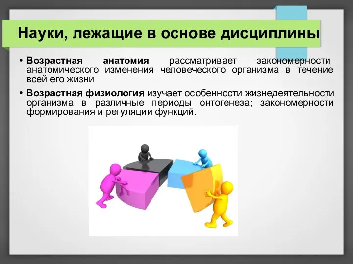 Науки, лежащие в основе дисциплины Возрастная анатомия рассматривает закономерности анатомического изменения человеческого