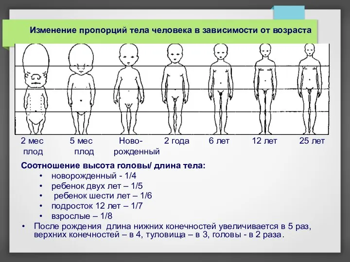 2 мес 5 мес Ново- 2 года 6 лет 12 лет 25