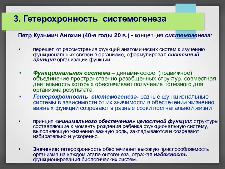 3. Гетерохронность системогенеза Петр Кузьмич Анохин (40-е годы 20 в.) - концепция