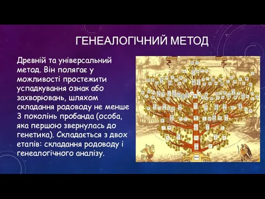 ГЕНЕАЛОГІЧНИЙ МЕТОД Древній та універсальний метод. Він полягає у можливості простежити успадкування