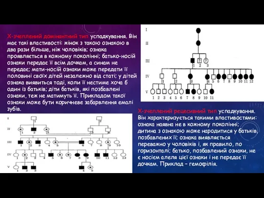 Х-зчеплений рецесивний тип успадкування. Він характеризується такими властивостями: ознака наявна не в