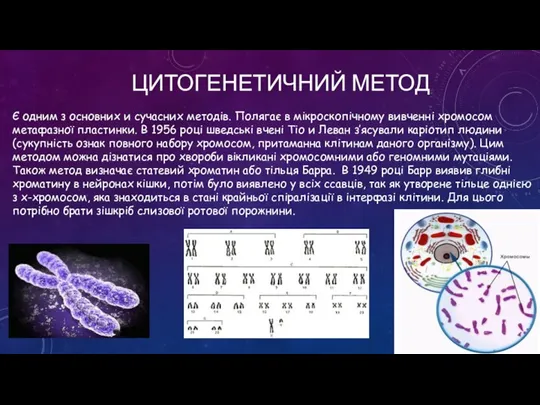 ЦИТОГЕНЕТИЧНИЙ МЕТОД Є одним з основних и сучасних методів. Полягає в мікроскопічному