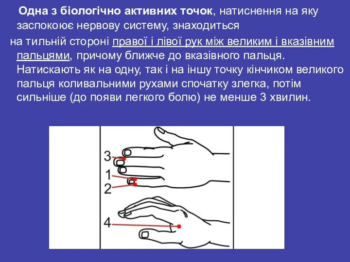 Одна з біологічно активних точок, натиснення на яку заспокоює нервову систему, знаходиться