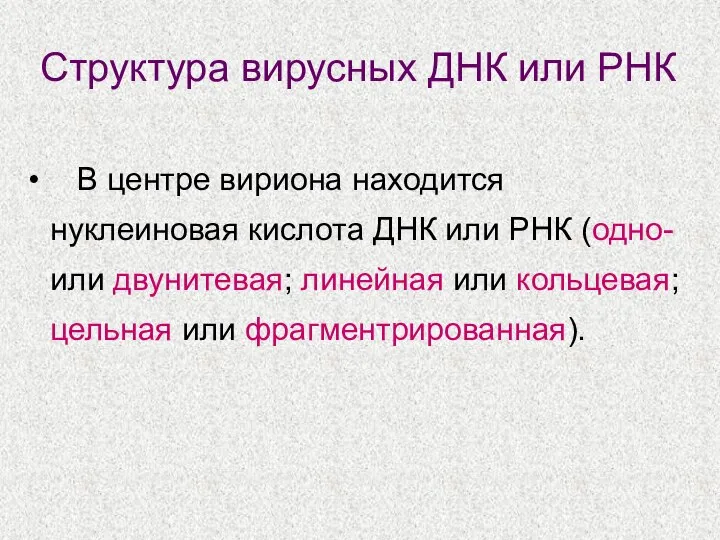 Структура вирусных ДНК или РНК В центре вириона находится нуклеиновая кислота ДНК