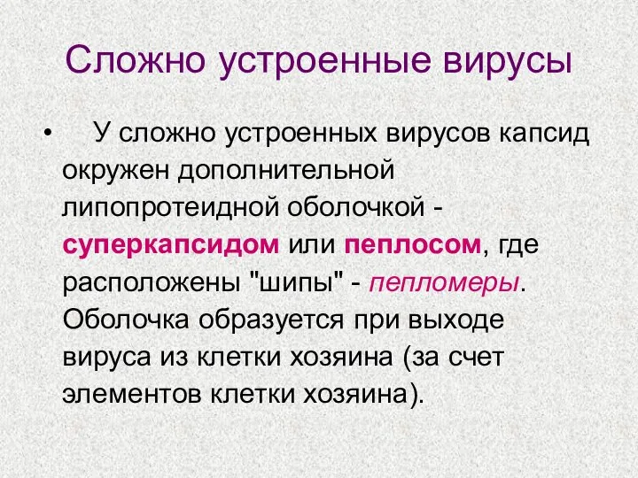 Сложно устроенные вирусы У сложно устроенных вирусов капсид окружен дополнительной липопротеидной оболочкой