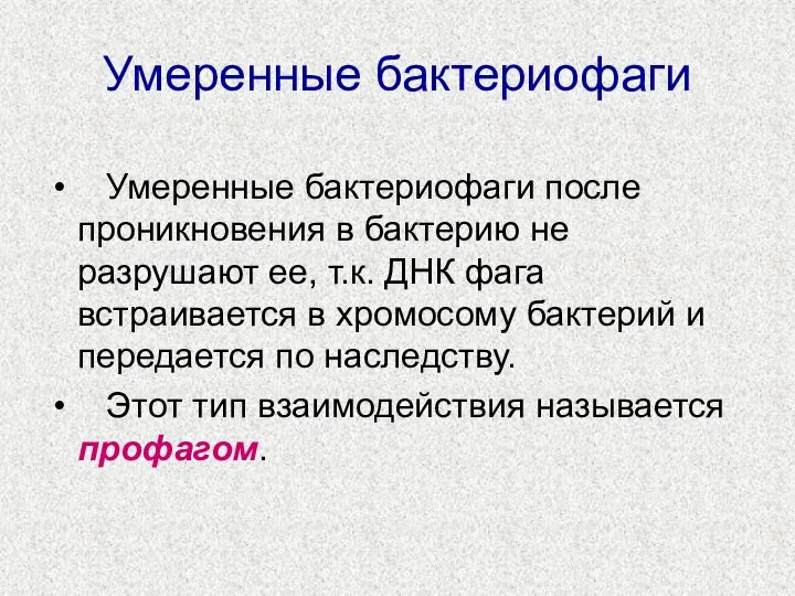 Умеренные бактериофаги Умеренные бактериофаги после проникновения в бактерию не разрушают ее, т.к.