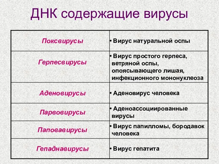 ДНК содержащие вирусы