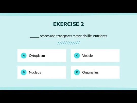 EXERCISE 2 _______ stores and transports materials like nutrients A Cytoplasm B
