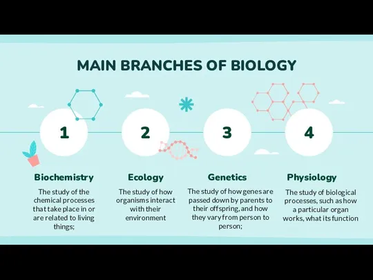 MAIN BRANCHES OF BIOLOGY Biochemistry The study of the chemical processes that