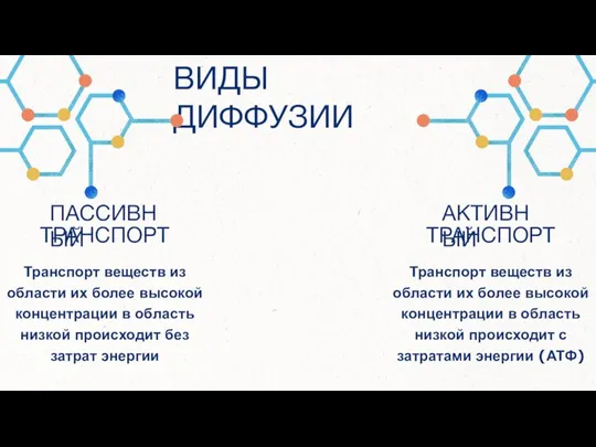 ВИДЫ ДИФФУЗИИ ПАССИВНЫЙ АКТИВНЫЙ ТРАНСПОРТ Транспорт веществ из области их более высокой