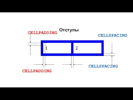 Отступы CELLSPACING CELLSPACING CELLPADDING CELLPADDING