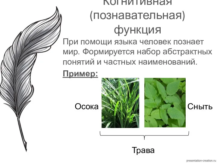 Когнитивная (познавательная) функция При помощи языка человек познает мир. Формируется набор абстрактных