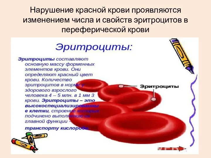 Нарушение красной крови проявляются изменением числа и свойств эритроцитов в переферической крови