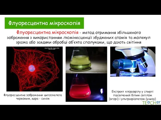 Флуоресцентна мікроскопія Флуоресцентна мікроскопія - метод отримання збільшеного зображення з використанням люмінесценції