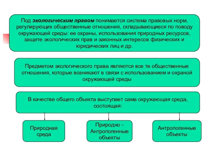 Под экологическим правом понимается система правовых норм, регулирующих общественные отношения, складывающиеся по