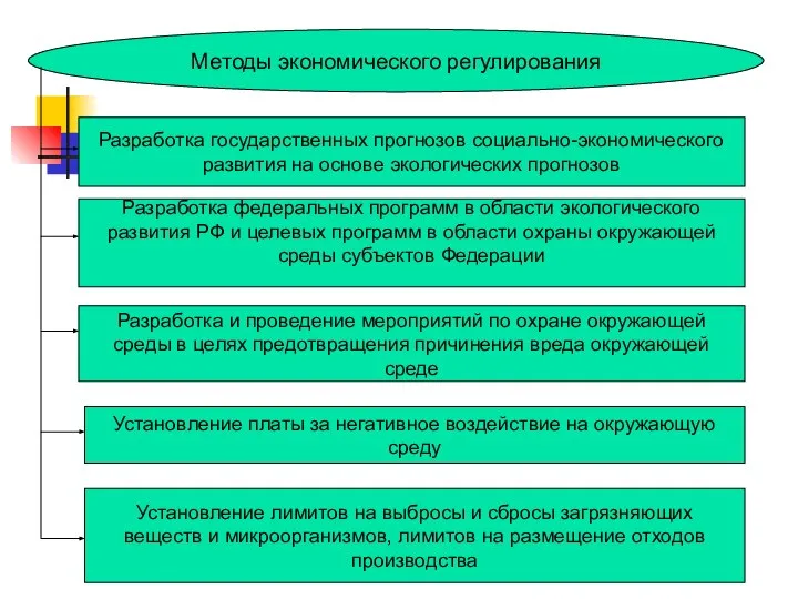 Методы экономического регулирования Разработка государственных прогнозов социально-экономического развития на основе экологических прогнозов