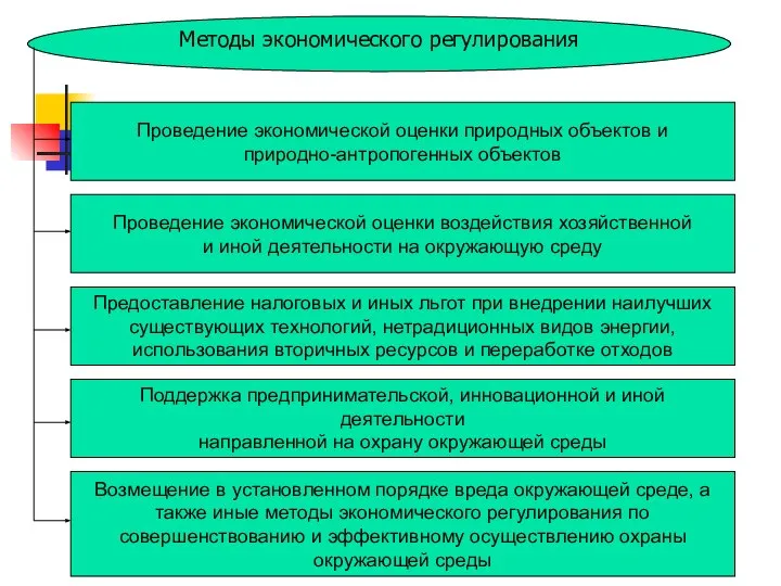 Методы экономического регулирования Проведение экономической оценки природных объектов и природно-антропогенных объектов Проведение