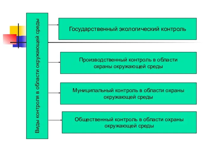 Виды контроля в области окружающей среды Государственный экологический контроль Производственный контроль в