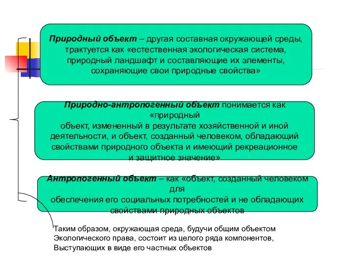 Природный объект – другая составная окружающей среды, трактуется как «естественная экологическая система,