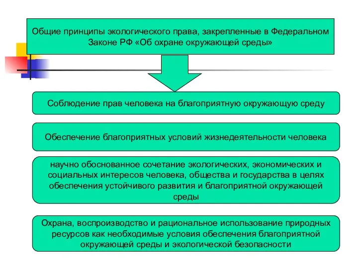 Общие принципы экологического права, закрепленные в Федеральном Законе РФ «Об охране окружающей