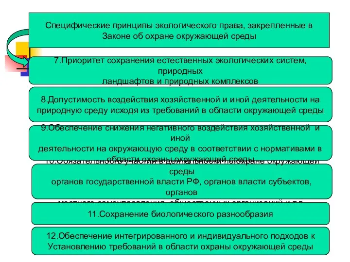 Специфические принципы экологического права, закрепленные в Законе об охране окружающей среды Специфические