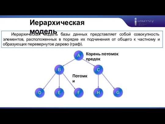 Иерархическая модель базы данных представляет собой совокупность элементов, расположенных в порядке их