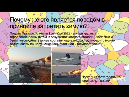 Почему же это является поводом в принципе запретить химию? Подрыв Крымского моста