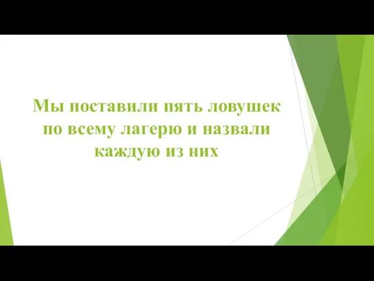 Мы поставили пять ловушек по всему лагерю и назвали каждую из них