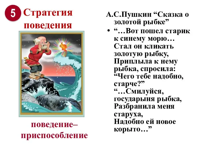 поведение– приспособление А.С.Пушкин “Сказка о золотой рыбке” “…Вот пошел старик к синему