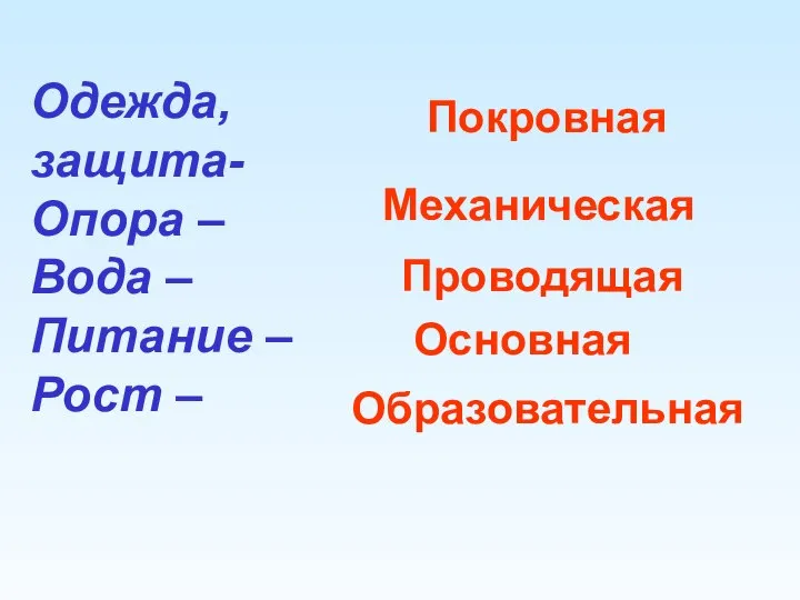 Одежда, защита- Опора – Вода – Питание – Рост – Покровная Механическая Проводящая Основная Образовательная