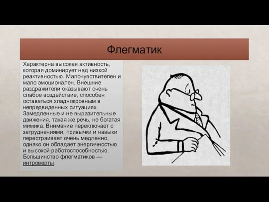 Флегматик Характерна высокая активность, которая доминирует над низкой реактивностью. Малочувствителен и мало