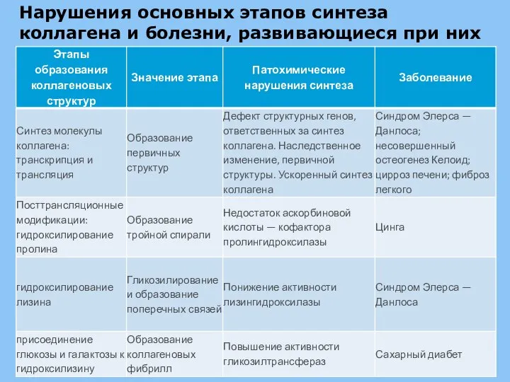 Нарушения основных этапов синтеза коллагена и болезни, развивающиеся при них