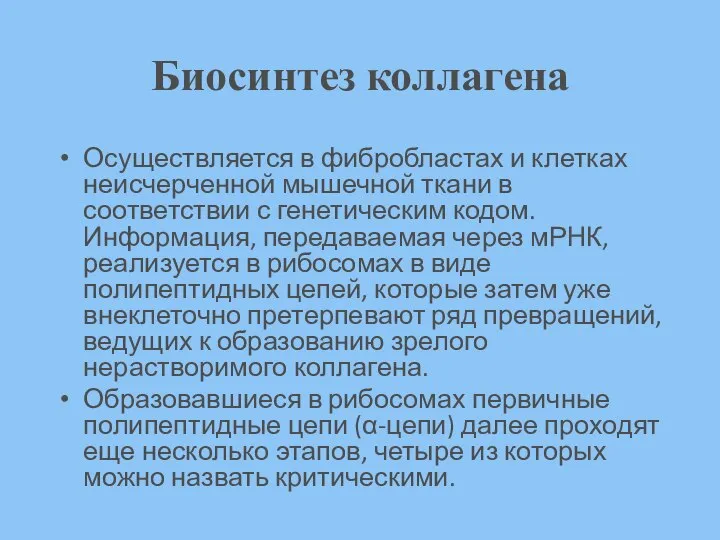 Биосинтез коллагена Осуществляется в фибробластах и клетках неисчерченной мышечной ткани в соответствии