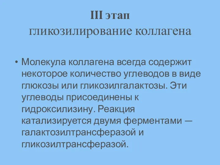 III этап гликозилирование коллагена Молекула коллагена всегда содержит некоторое количество углеводов в