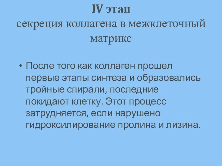 IV этап секреция коллагена в межклеточный матрикс После того как коллаген прошел