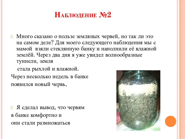 Наблюдение №2 Много сказано о пользе земляных червей, но так ли это