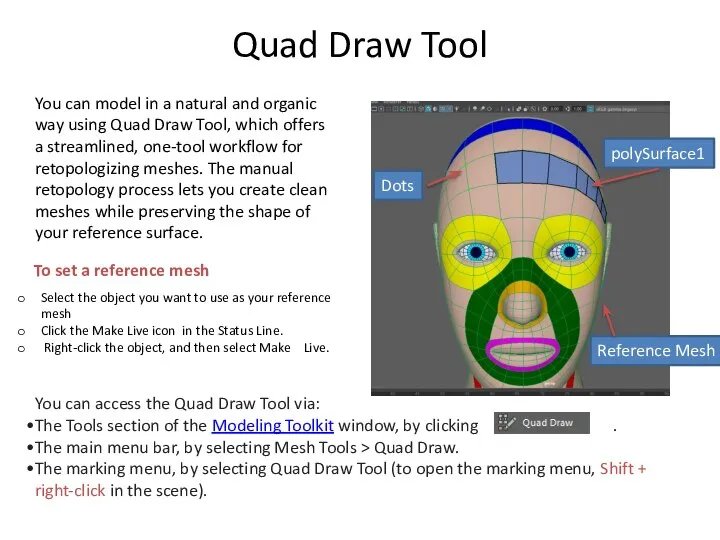Quad Draw Tool You can model in a natural and organic way