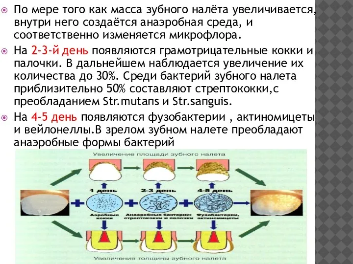 По мере того как масса зубного налёта увеличивается, внутри него создаётся анаэробная