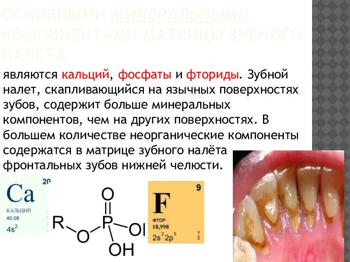 ОСНОВНЫМИ МИНЕРАЛЬНЫМИ КОМПОНЕНТАМИ МАТРИЦЫ ЗУБНОГО НАЛЁТА являются кальций, фосфаты и фториды. Зубной