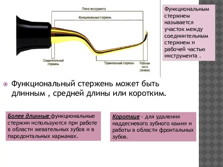 Функциональный стержень может быть длинным , средней длины или коротким. Функциональным стержнем